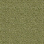 Sunbrella Solids Lichen (3970)
