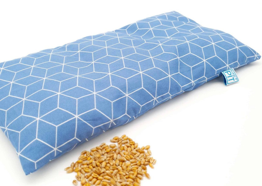 Pittenkussen Met Pit - Blauw geometrisch